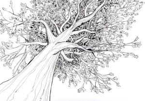 Try to draw tree like this