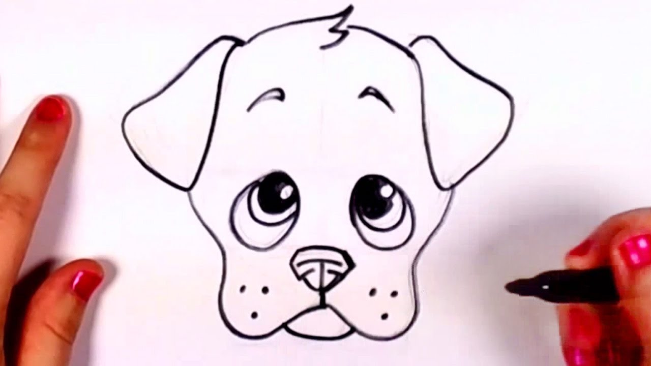 Featured image of post How To Draw A Simple Dog Head / They aren&#039;t completely forward on the head.