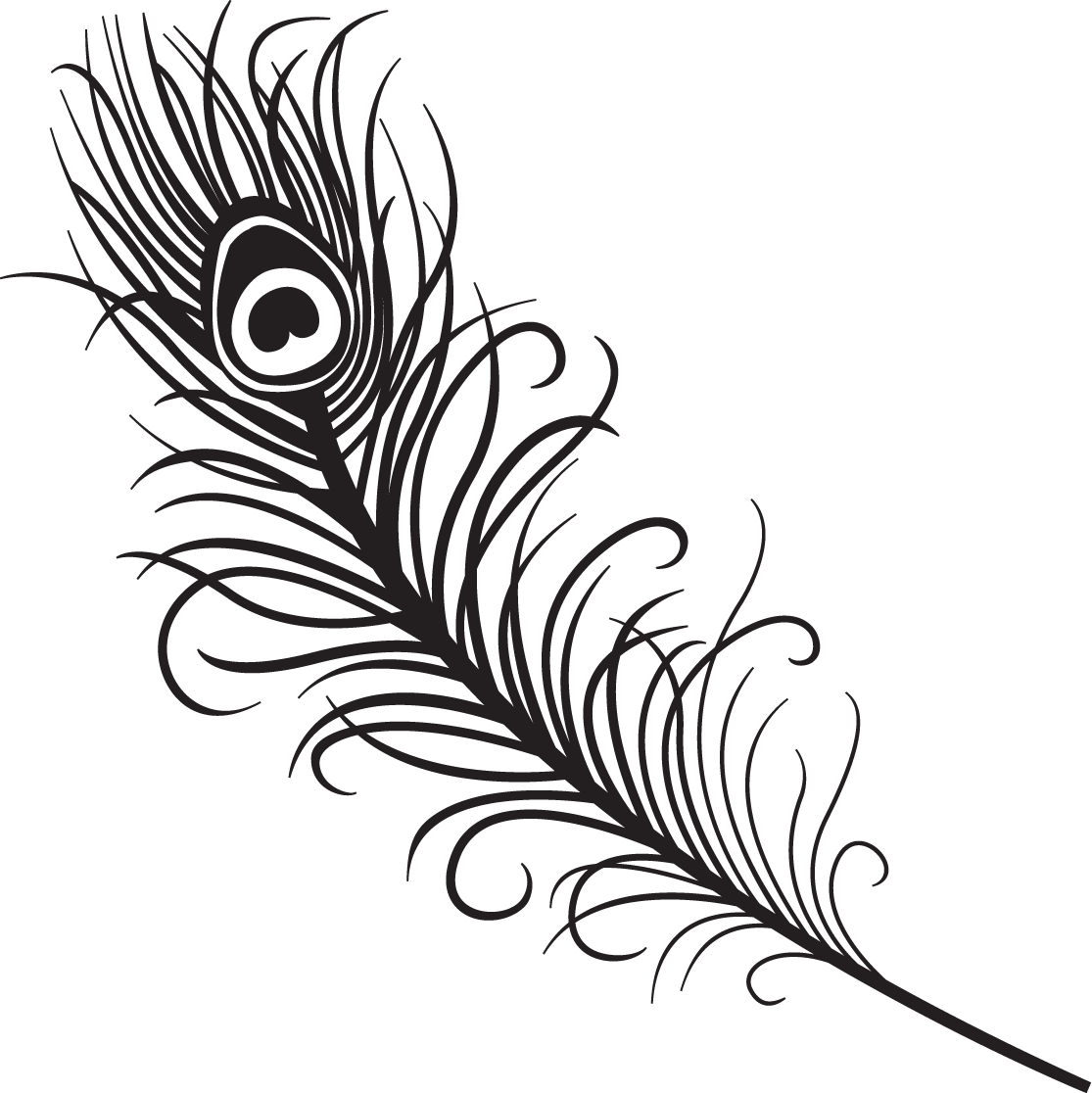 How to draw a peacock feather