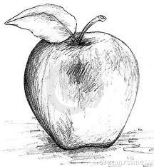 drawing of an apple