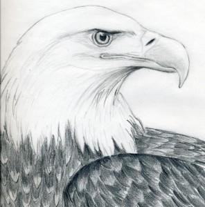 how to draw eagle