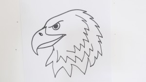 How to draw an eagle step wise