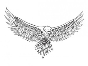 how to draw wings of eagle that are spread