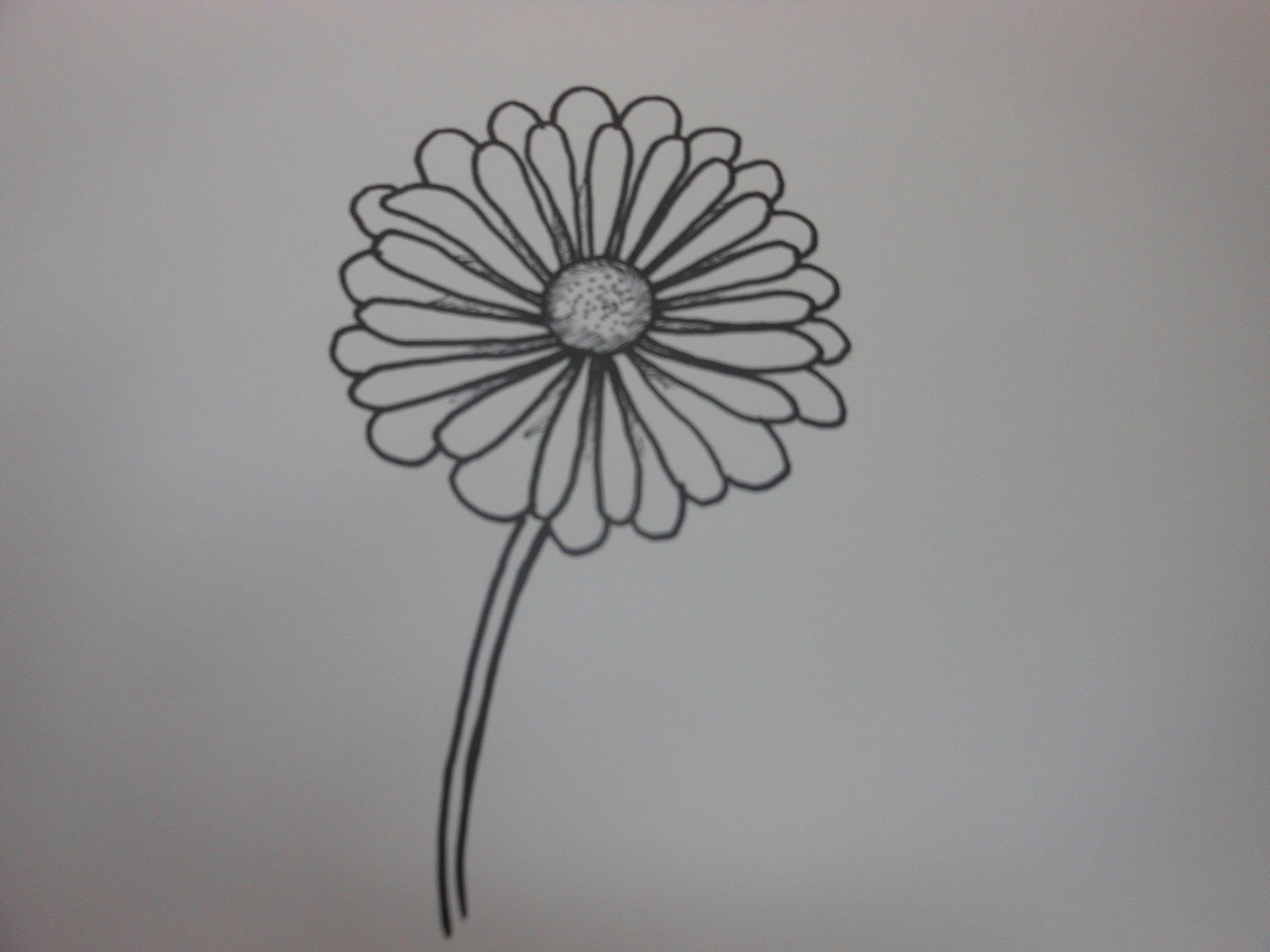 How To Draw A Daisy Flower Easy Step By Step For Beginners Rock Draw 