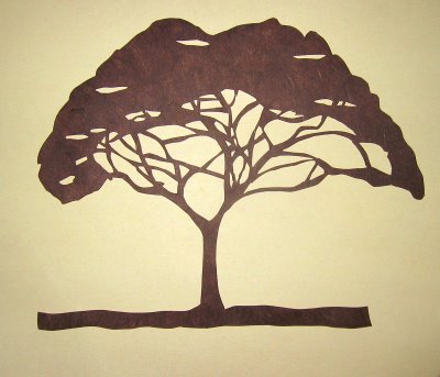 Method to draw acacia tree