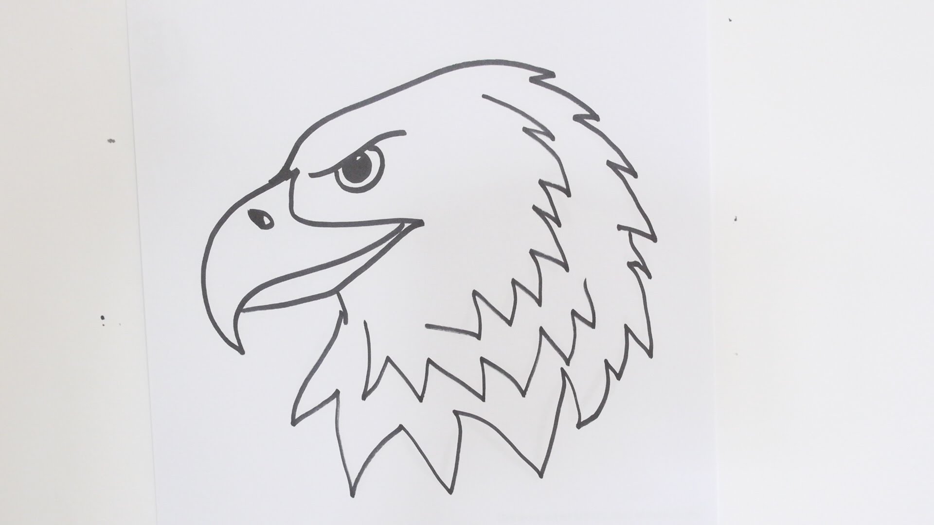 How to draw an eagle head step by step easy video tutorial for