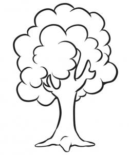 how to draw and sketch a simple tree